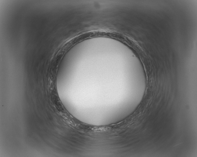 X0000079581303200612010915