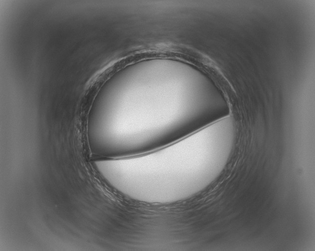 X0000079581304200612010915