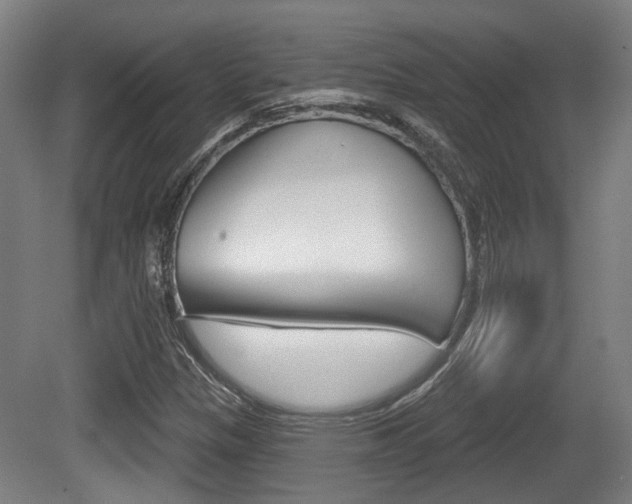 X0000079581305200612010915