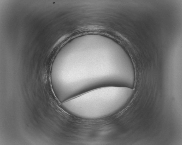 X0000079581306200612010915