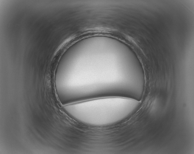 X0000079581307200612010915