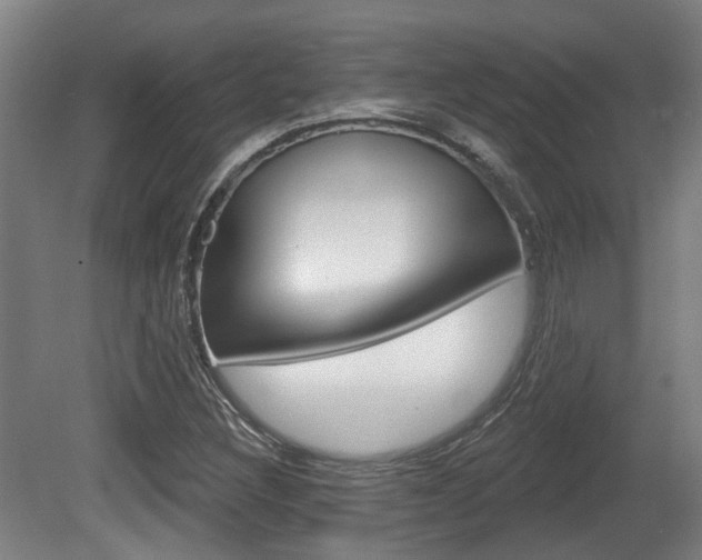 X0000079581308200612010915