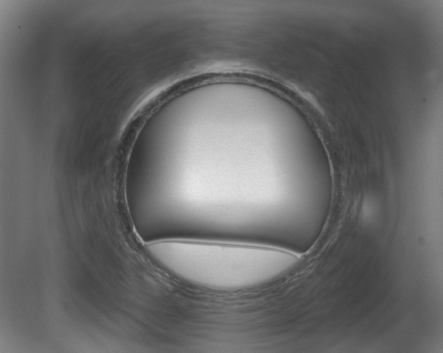 X0000079581311200612010915