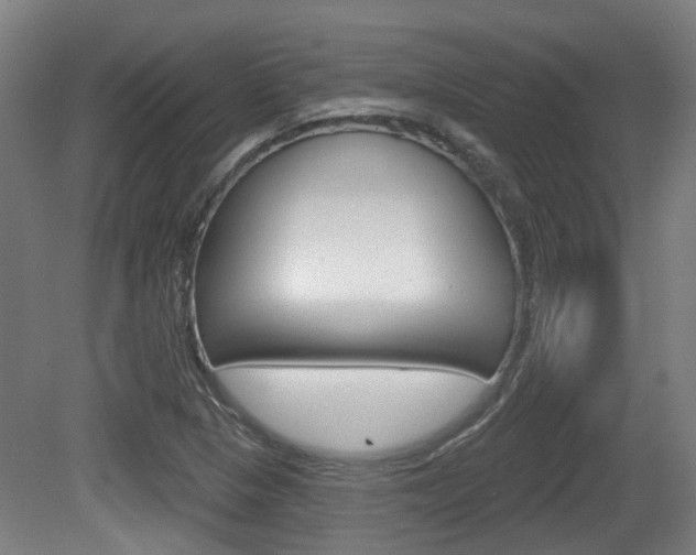 X0000079581313200612010915