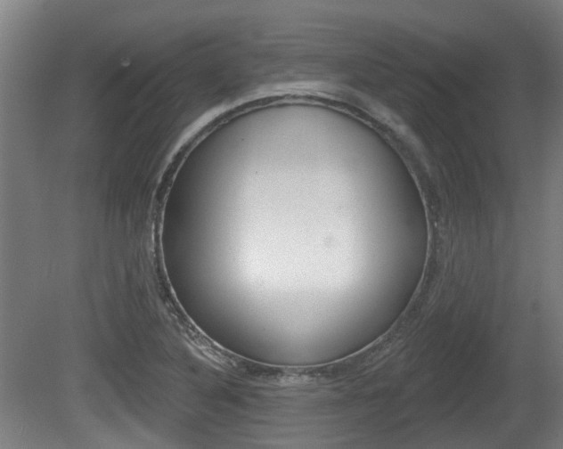 X0000079581316200612010915
