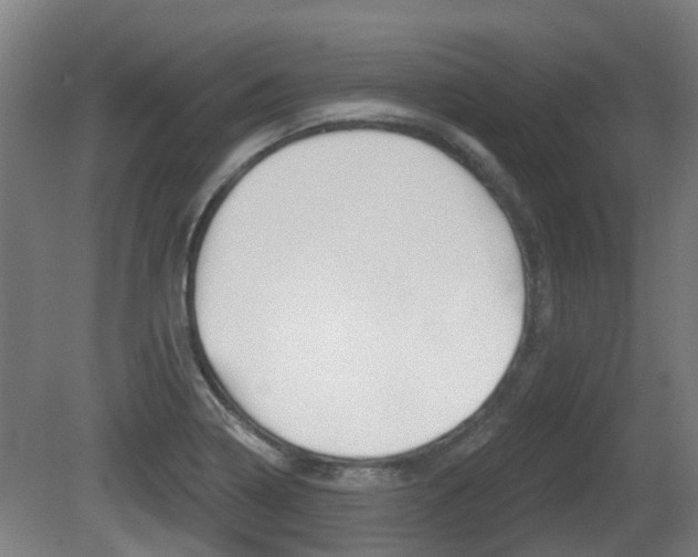 X0000079581322200612010915