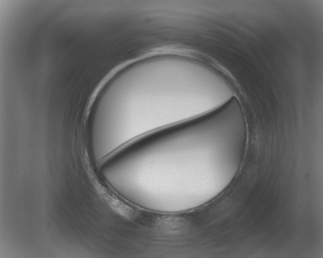 X0000079581323200612010915