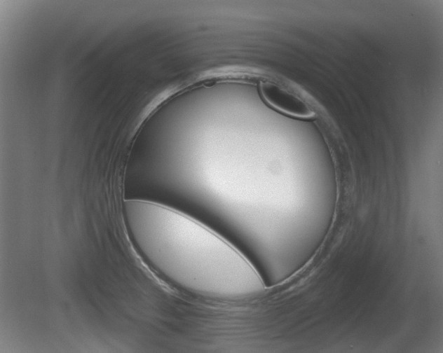 X0000079581329200612010915