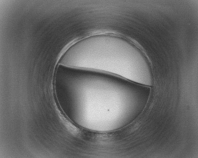 X0000079581330200612010915