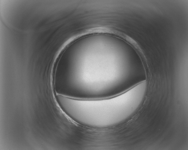 X0000079581334200612010915