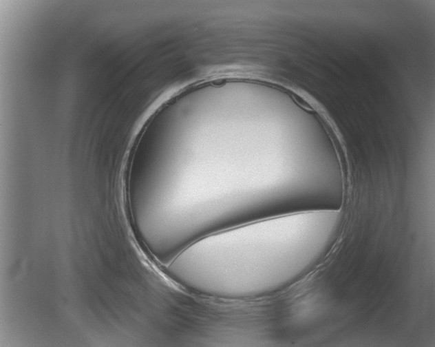 X0000079581341200612010915