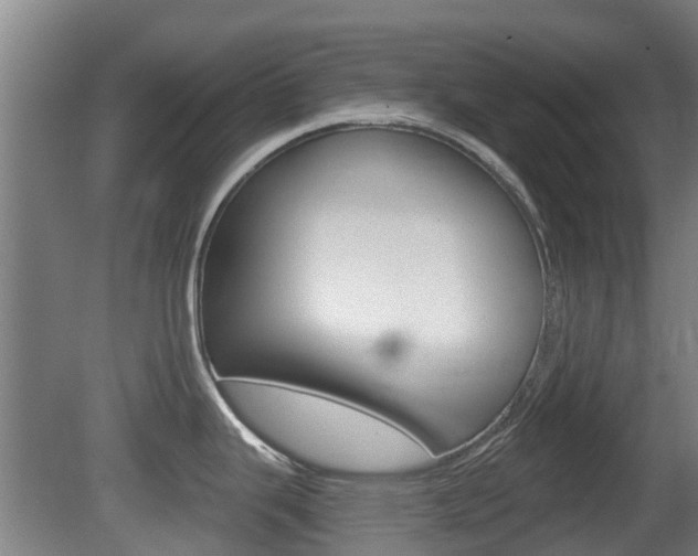 X0000079581343200612010915