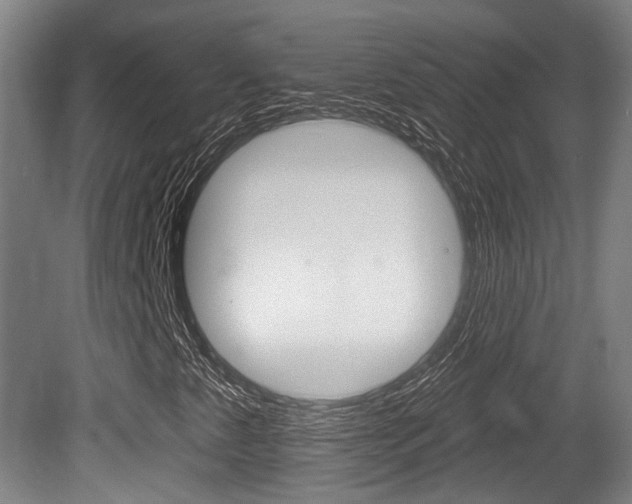 X0000079581345200612010915