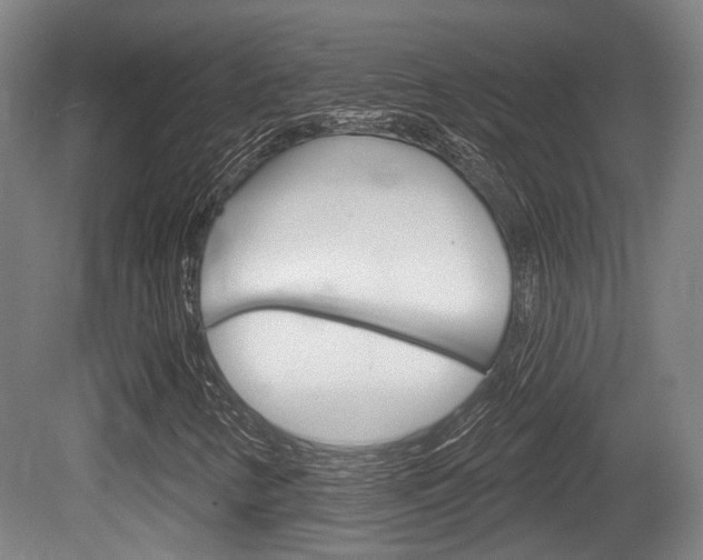 X0000079581346200612010915
