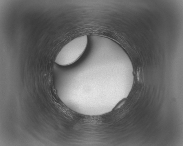 X0000079581347200612010915