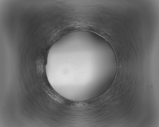 X0000079581348200612010915