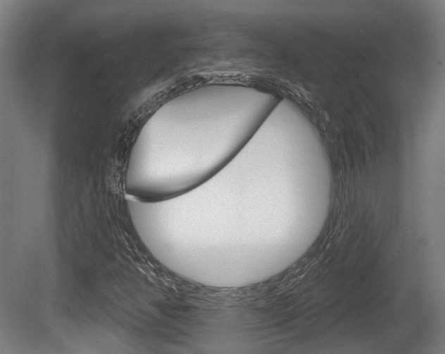 X0000079581350200612010915