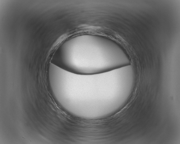 X0000079581354200612010914