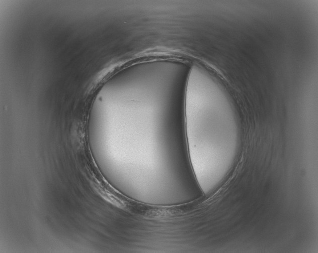 X0000079581355200612010914