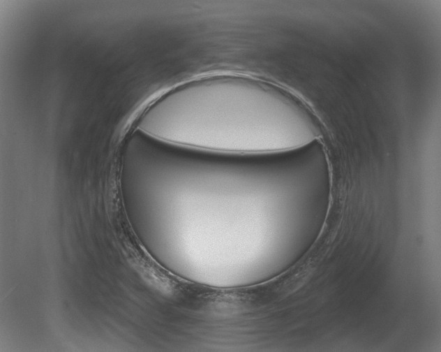 X0000079581359200612010914