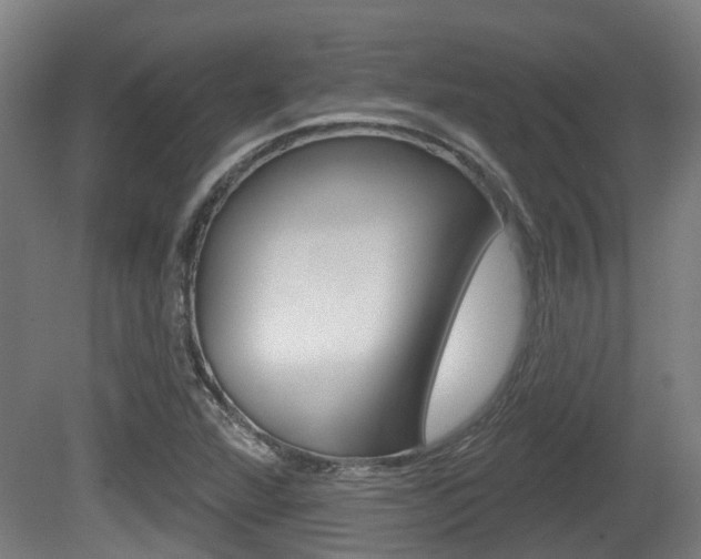 X0000079581360200612010914