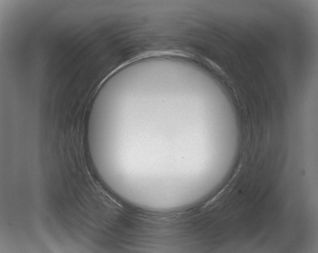 X0000079581361200612010914