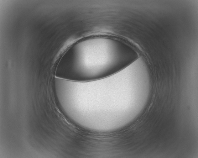 X0000079581363200612010914