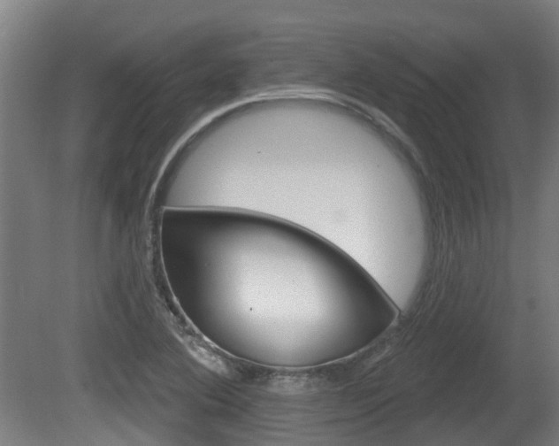 X0000079581364200612010914