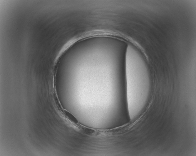X0000079581365200612010914