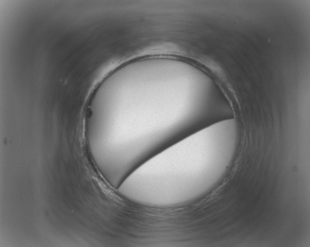 X0000079581366200612010914