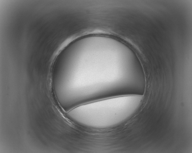 X0000079581367200612010914