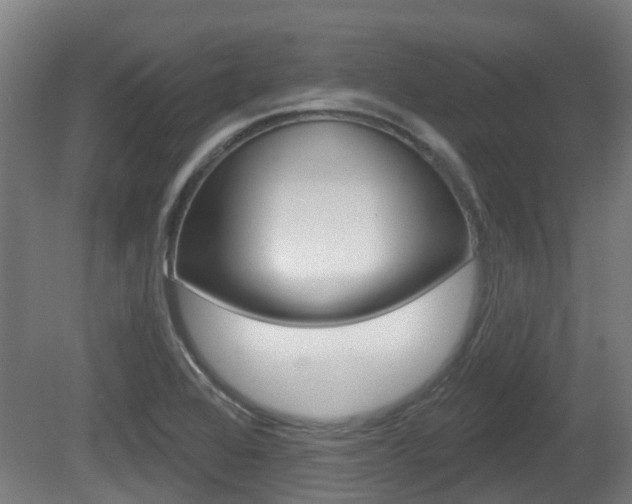 X0000079581368200612010914