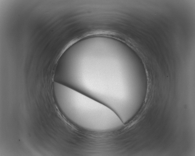 X0000079581369200612010914