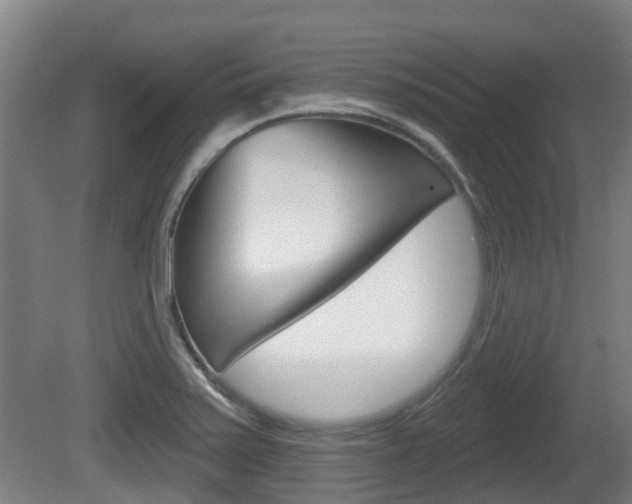 X0000079581371200612010914