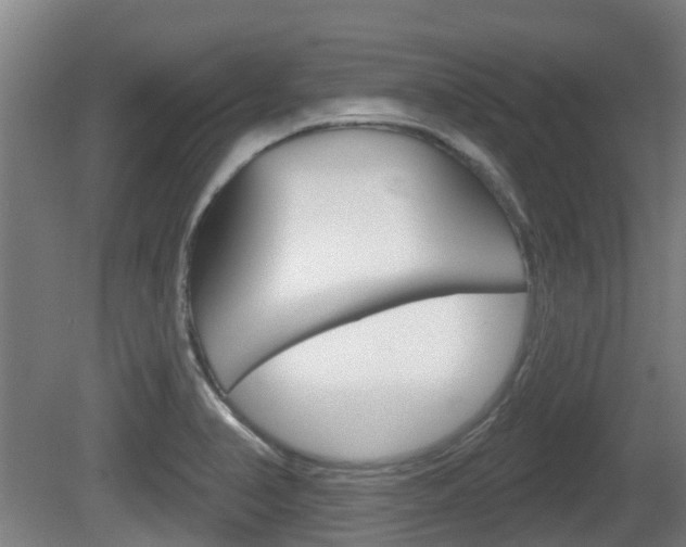 X0000079581374200612010914