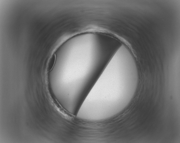 X0000079581375200612010914