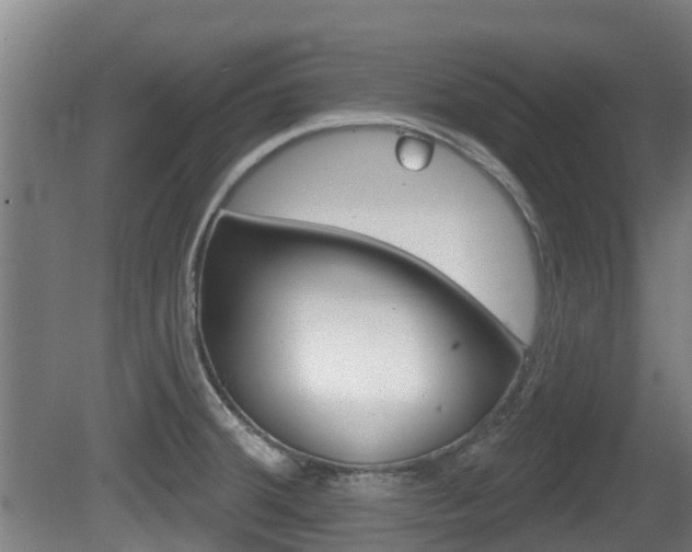 X0000079581380200612010914