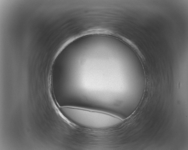 X0000079581383200612010914