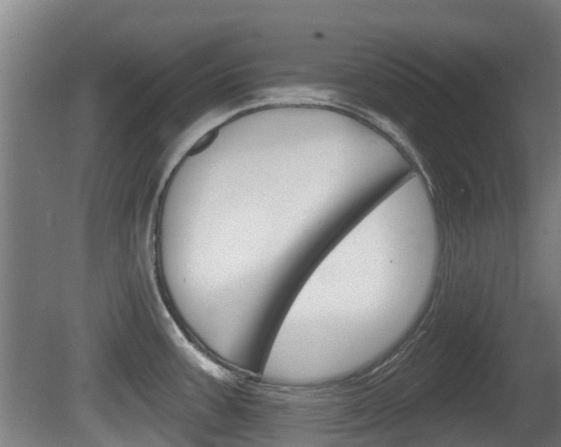 X0000079581387200612010914
