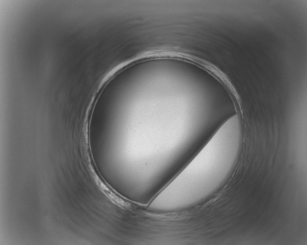X0000079581388200612010914