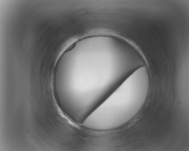 X0000079581390200612010914