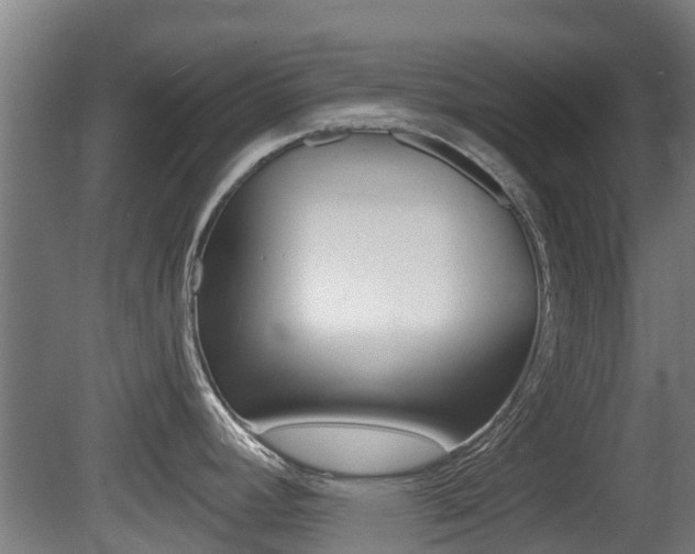X0000079581392200612010914