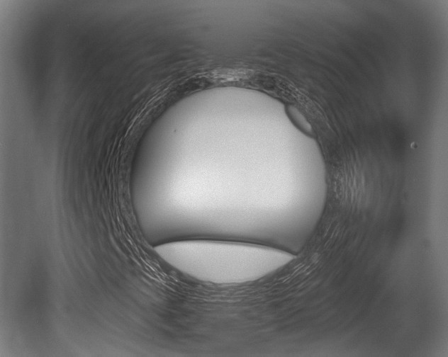 X0000079581393200612010913