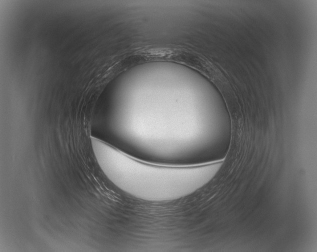 X0000079581394200612010913