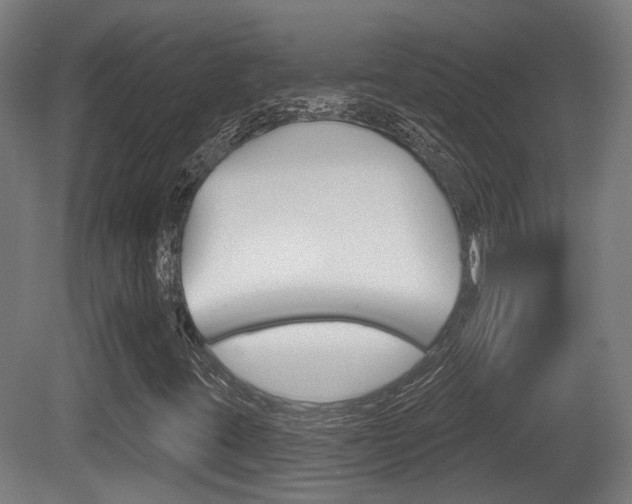 X0000079581395200612010913