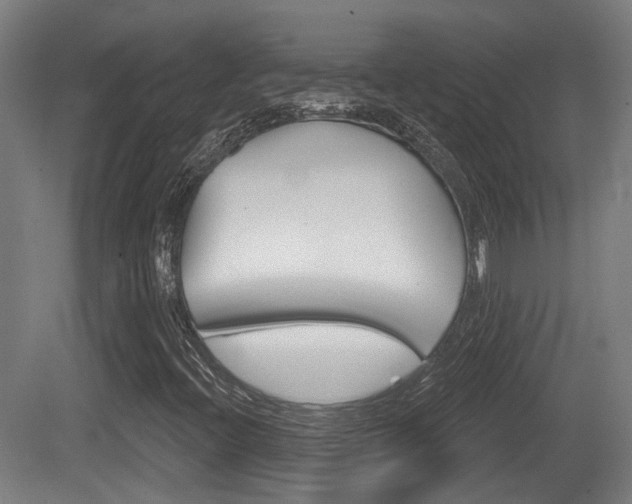 X0000079581396200612010913