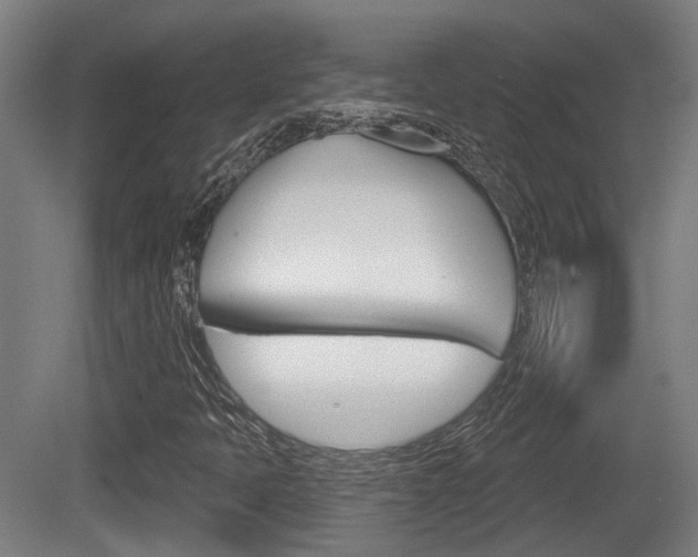 X0000079581397200612010913