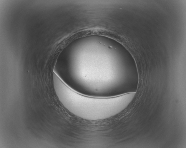 X0000079581398200612010913