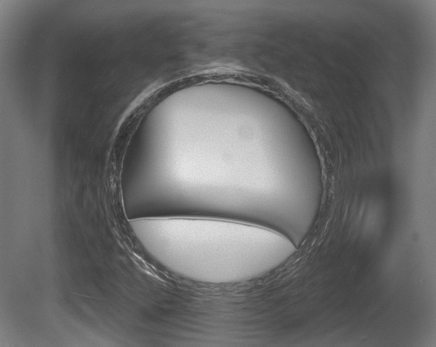 X0000079581400200612010913