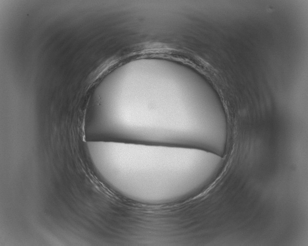 X0000079581401200612010913